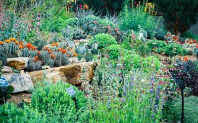 The Hidden Beauty of Indigenous Gardens
