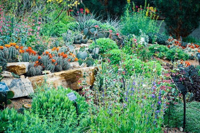The Hidden Beauty of Indigenous Gardens